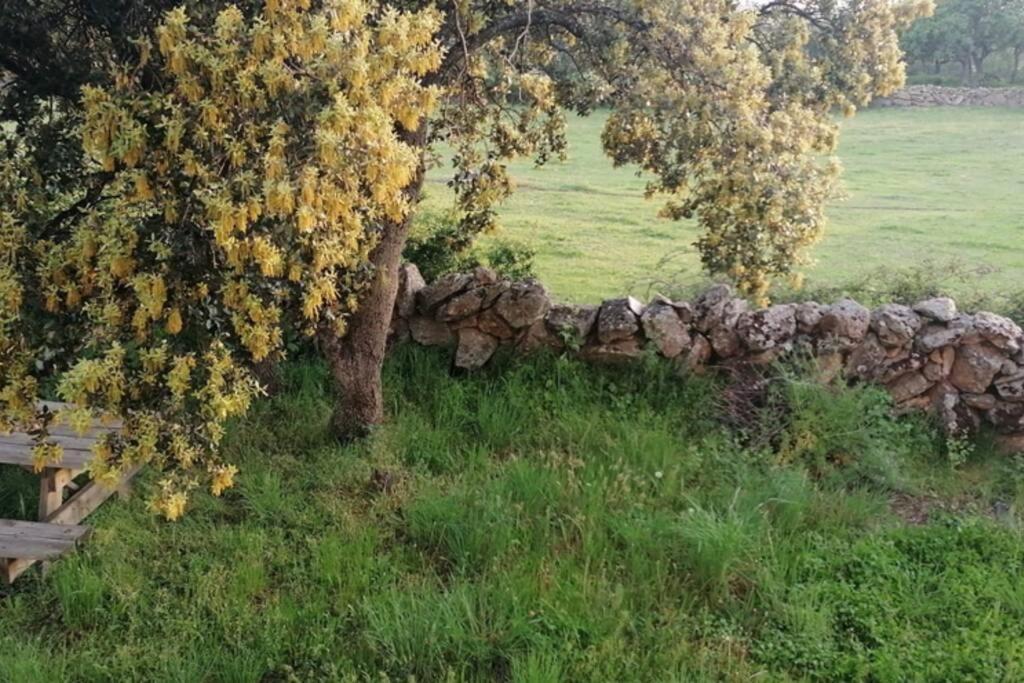 Casa Namaste - Ortigosa Del Monte Βίλα Εξωτερικό φωτογραφία