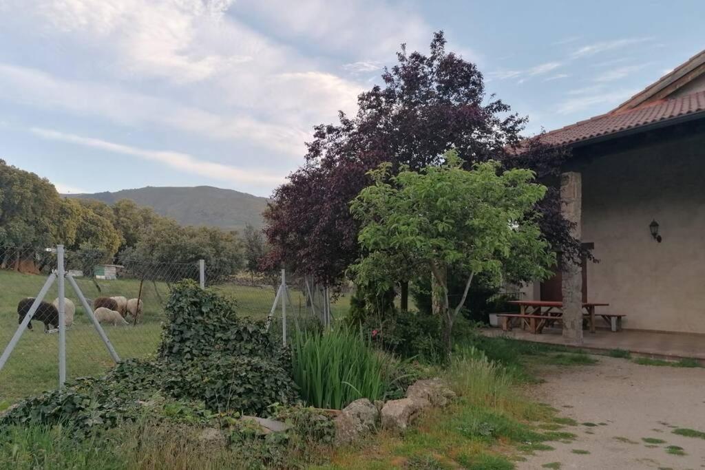 Casa Namaste - Ortigosa Del Monte Βίλα Εξωτερικό φωτογραφία
